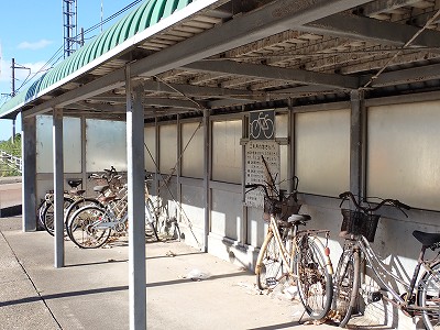 �\���w�摜