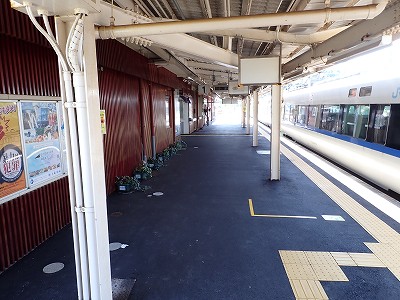 �a�q����w�摜