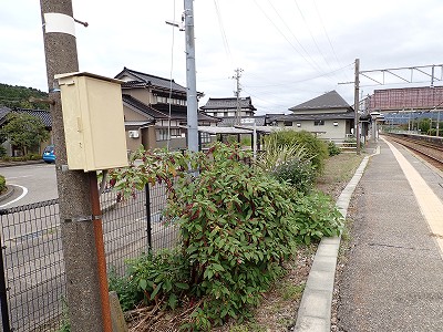 ���ۉw�摜