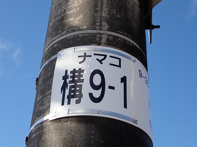 ���ۉw�摜