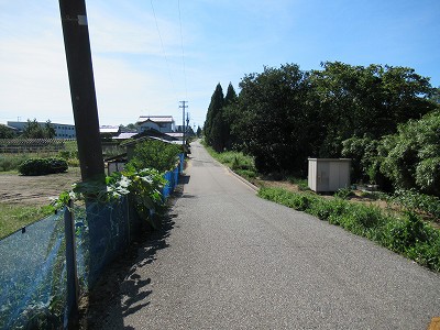 国道へ
