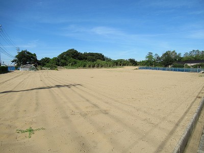 砂丘地