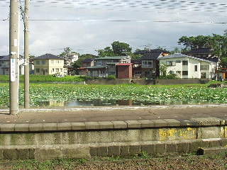 御手洗池