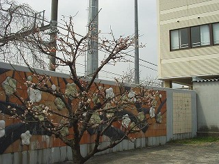 梅