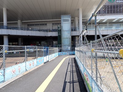 �V���w�摜