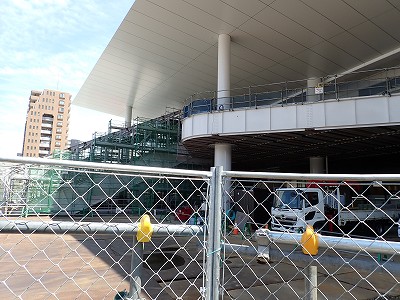 �V���w�摜