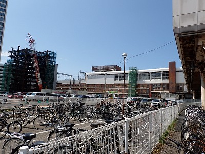 �V���w�摜