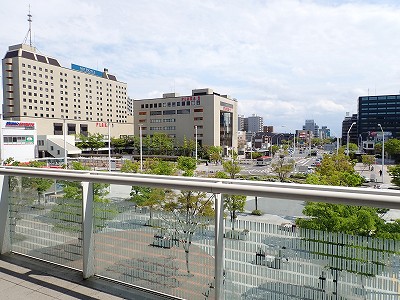 �V���w�摜