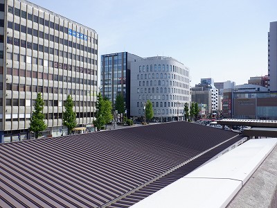 �V���w�摜