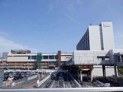 �V���w�摜