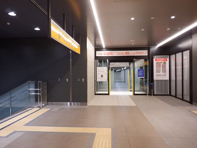 �V���w�摜