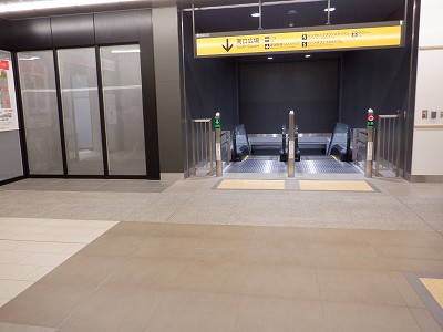 �V���w�摜