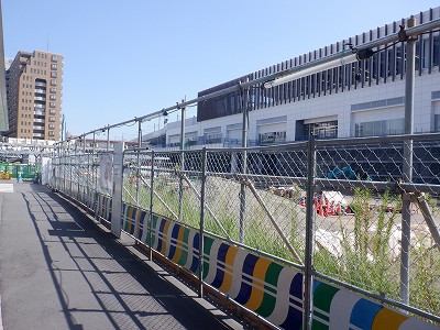 �V���w�摜