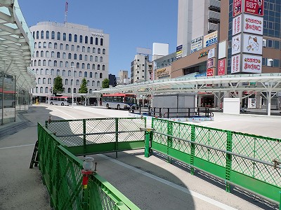 �V���w�摜