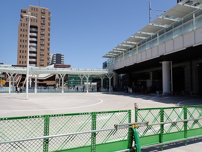 �V���w�摜