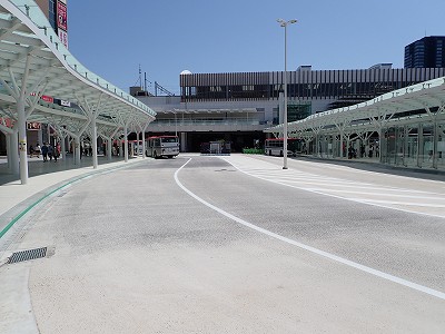 �V���w�摜