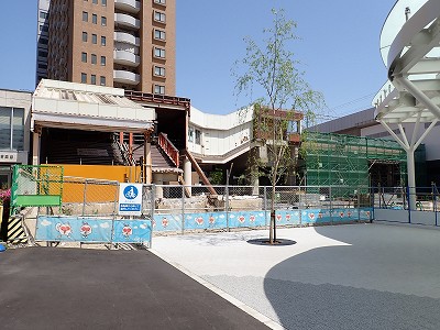 �V���w�摜