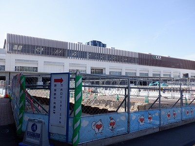 �V���w�摜