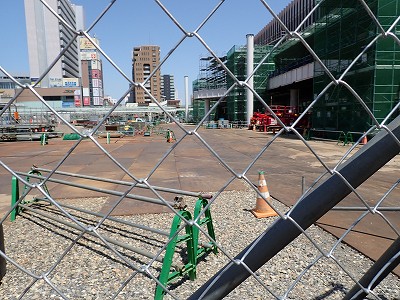 �V���w�摜