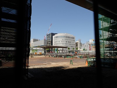 �V���w�摜