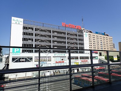 �V���w�摜