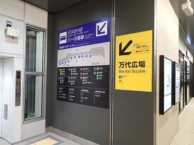 �V���w�摜