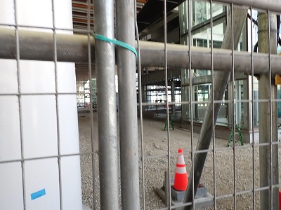 �V���w�摜