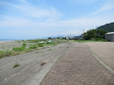 海
