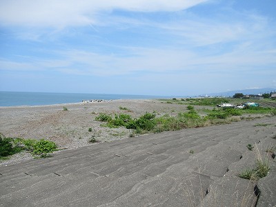 海