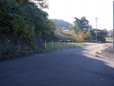 Jl`]Éw摜