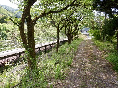ԉw摜