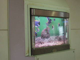 水族館