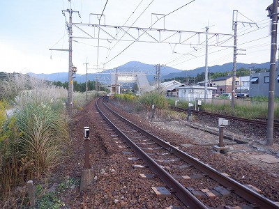 T{w摜