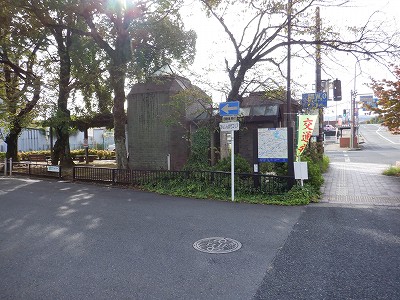 w摜