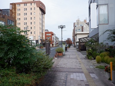 w摜