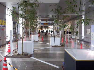 w摜