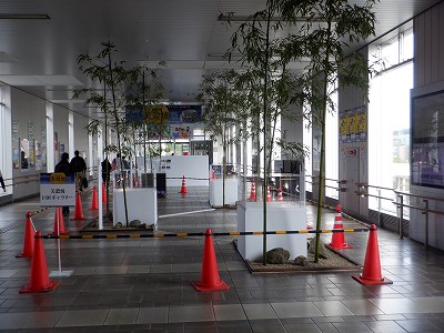 w摜
