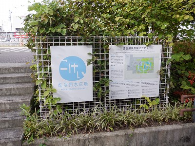 w摜