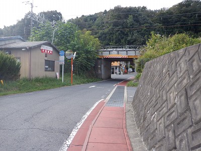 w摜