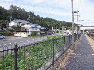 w摜