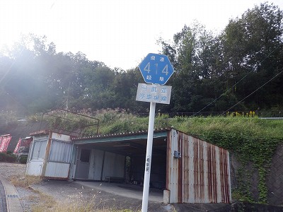 w摜