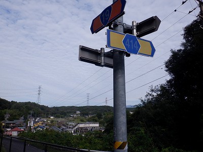 w摜
