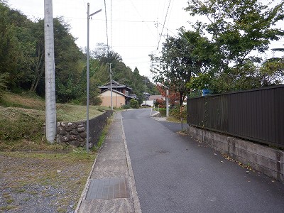 w摜