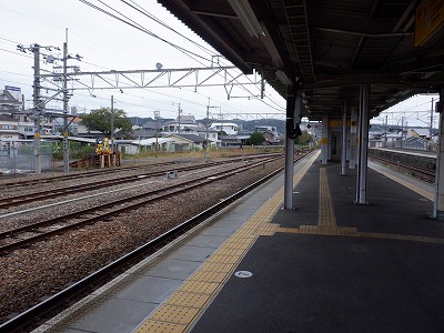 ysw摜