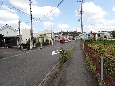 ���{�w�摜