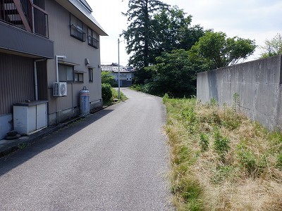|w摜
