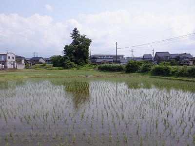 |w摜