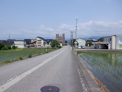 |w摜