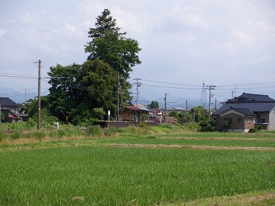 |w摜