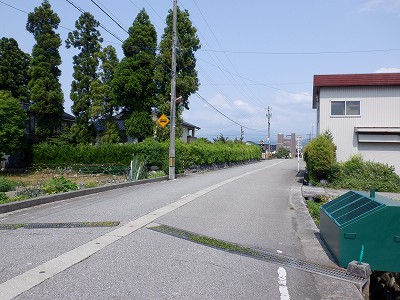 |w摜